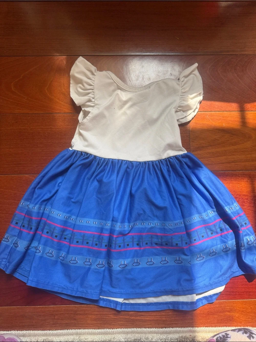 Encanto Luisa dress